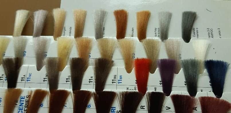 Natural Choice Hair System Color Swatches